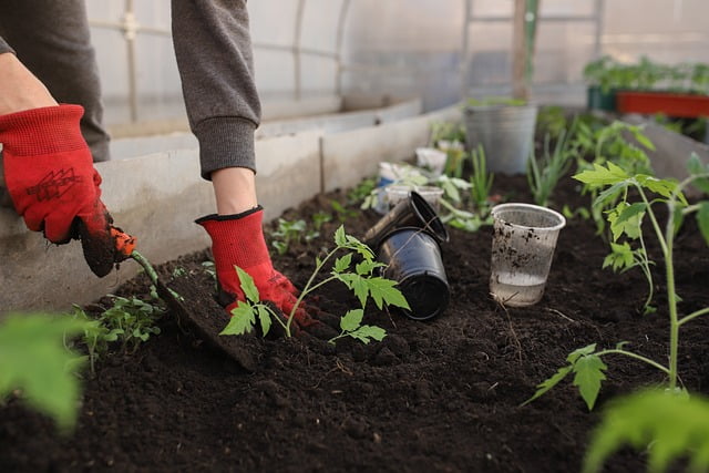Tuinman in Helmond