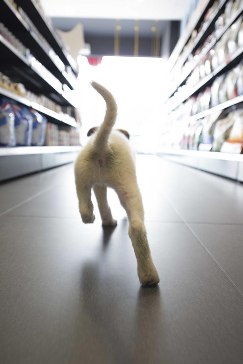Dierenspeciaalzaak in Helmond